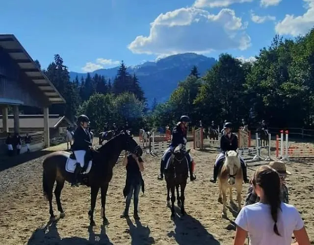 Haus Fini - In Out Appartement *