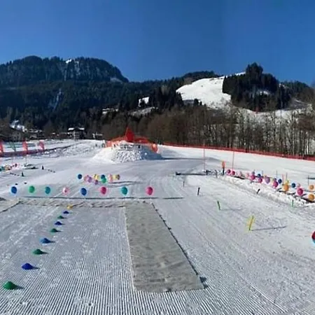 Haus Fini - In Out Кицбюэль