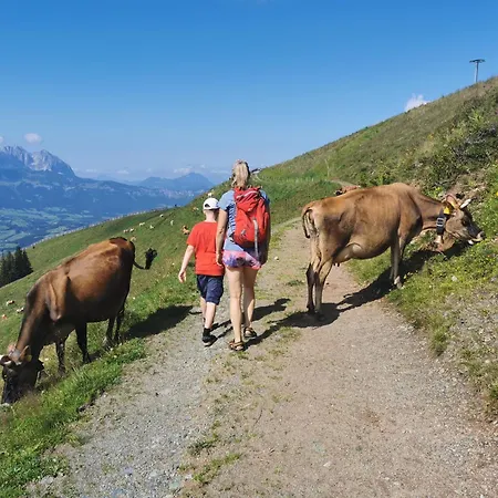 Апартаменты Haus Fini - In Out